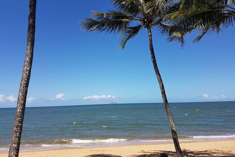 Airport Transfers Between Cairns Airport And Palm Cove - Accommodation Brunswick Heads 8