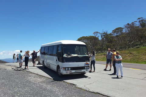 Self-guided Coast Walks - Noosa To Sydney 6 Days ( Dep 25 Sep 2019, 24 Sep 2020) - Accommodation Brunswick Heads 1