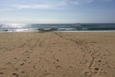 Self-guided Coast Walks - Noosa To Sydney 6 Days ( Dep 25 Sep 2019, 24 Sep 2020) - Accommodation Brunswick Heads 5