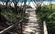 Self-guided Coast Walks - Noosa To Sydney 6 Days ( Dep 25 Sep 2019, 24 Sep 2020) - thumb 2