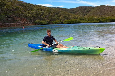 Guided Kayak Tour - Accommodation Brunswick Heads 0