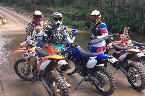 Yamaha TTR 230 1 Day Guided Glasshouse Mountains Tour - Accommodation Brunswick Heads 1