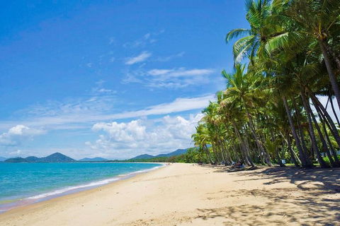 Airport Transfer - Cairns Airport To Palm Cove, Kewarra & Trinity Beaches - Accommodation Brunswick Heads 4