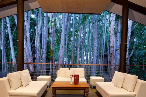 Airport Transfer - Cairns Airport To Palm Cove, Kewarra & Trinity Beaches - Accommodation Brunswick Heads 2