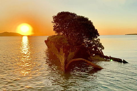 Aquascene Magnetic Island Sunset & Shipwreck Tour - Accommodation Brunswick Heads 3