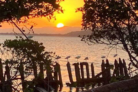 Aquascene Magnetic Island Sunset & Shipwreck Tour - Accommodation Brunswick Heads 2