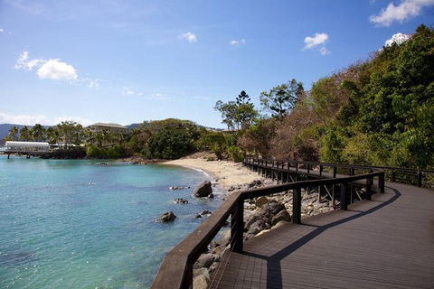 Rainforest To Reef Experience - Reef And Beyond Guided Holidays - Accommodation Brunswick Heads 4