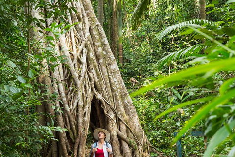 Rainforest To Reef Experience - Reef And Beyond Guided Holidays - Accommodation Brunswick Heads 2