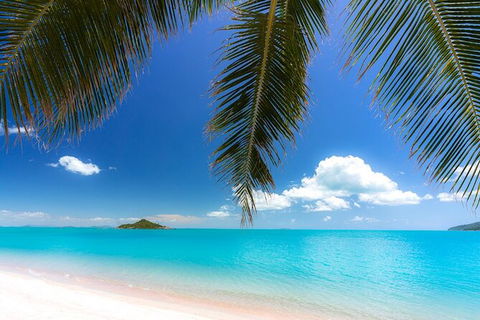 Rainforest To Reef Experience - Reef And Beyond Guided Holidays - Accommodation Brunswick Heads 1