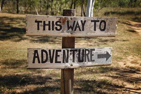Rainforest To Reef Experience - Reef And Beyond Guided Holidays - Accommodation Brunswick Heads 6
