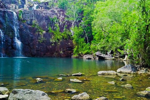 Rainforest To Reef Experience - Reef And Beyond Guided Holidays - Accommodation Brunswick Heads 5