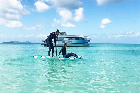 Rainforest To Reef Experience - Reef And Beyond Guided Holidays - Accommodation Brunswick Heads 3