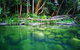 Cairns Adventure Package- 4 Tours In 3 Days! - thumb 6