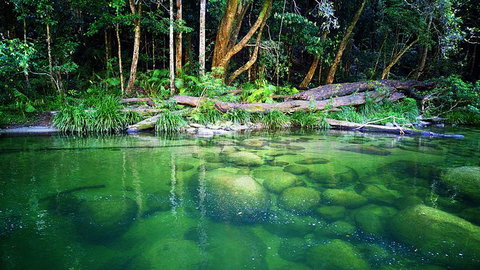 Cairns Adventure Package- 4 Tours In 3 Days! - Accommodation Brunswick Heads 6