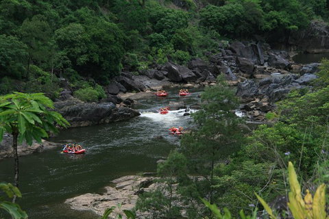 Cairns Adventure Package- 4 Tours In 3 Days! - Accommodation Brunswick Heads 3