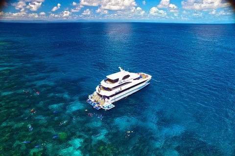 Gold Class VIP Great Barrier Reef Cruise From Cairns By Luxury Superyacht - Accommodation Brunswick Heads 1
