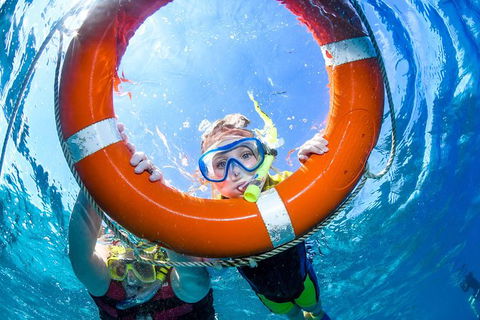 Gold Class VIP Great Barrier Reef Cruise From Cairns By Luxury Superyacht - Accommodation Brunswick Heads 5