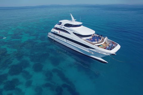 Gold Class VIP Great Barrier Reef Cruise From Cairns By Luxury Superyacht - Accommodation Brunswick Heads 6