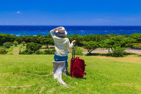 Gold Coast Airport To And From Byron Bay, NSW For Up-to 2 Ppl - Accommodation Brunswick Heads 0