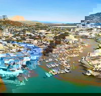Explore Townsville 7 Hour Guided River Mountain and City Tour - Accommodation Brunswick Heads