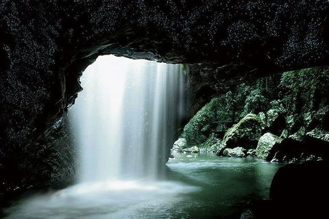 Glowworm Cave & Natural Bridge Tour - Accommodation Brunswick Heads 0