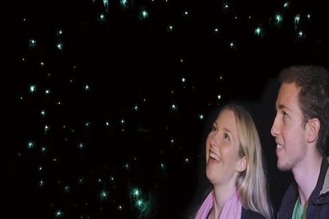 Glowworm Cave & Natural Bridge Tour - Accommodation Brunswick Heads 1
