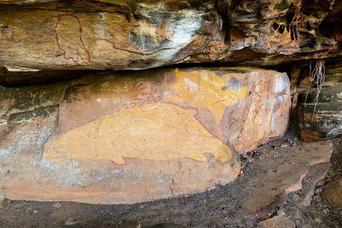 Half Day Aboriginal Rock Art Experience In Queensland - Accommodation Brunswick Heads 3