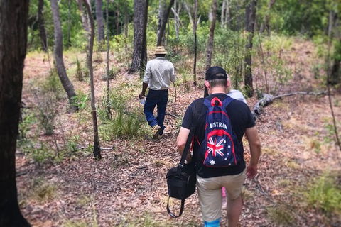 Half Day Aboriginal Rock Art Experience In Queensland - Accommodation Brunswick Heads 5