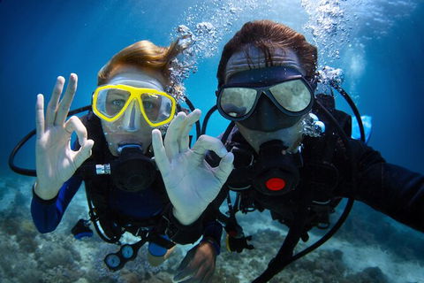 2 Night Whitsunday Islands Cruise On Atlantic Clipper From Airlie Beach - Accommodation Brunswick Heads 4