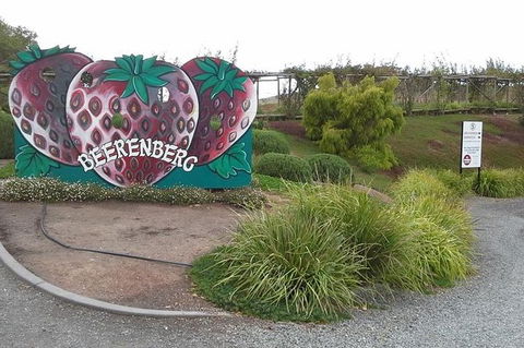 Adelaide Hills Regional / Hahndorf German Village Tour - Accommodation Brunswick Heads 6