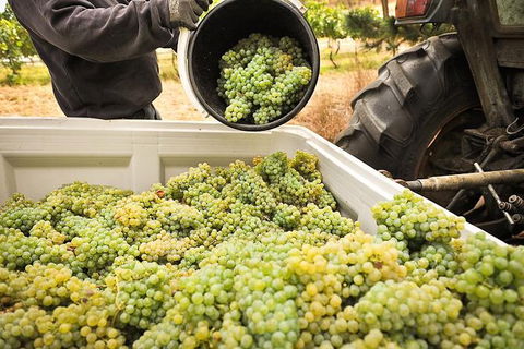Adelaide Hills Wineries & Hahndorf - Accommodation Brunswick Heads 0