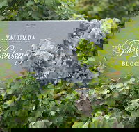 Yalumba Nursery  Grenache Discovery Tour  Platter Lunch - Accommodation Brunswick Heads