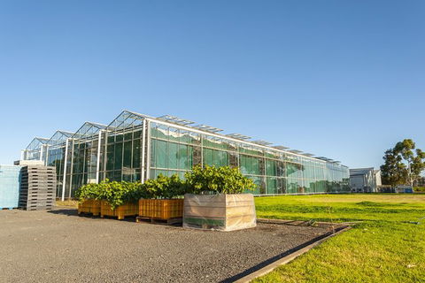 Yalumba Nursery & Grenache Discovery Tour + Platter Lunch - Accommodation Brunswick Heads 5