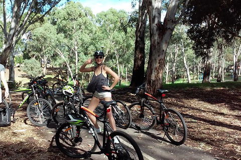 Adelaide City And Parklands Bike Tour - Half Day - Accommodation Brunswick Heads 3