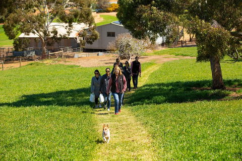 Walk, Taste, Graze - Experience At Pindarie - Accommodation Brunswick Heads 7