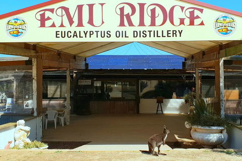 Full-Day Kangaroo Island Safari From Penneshaw - Accommodation Brunswick Heads 3