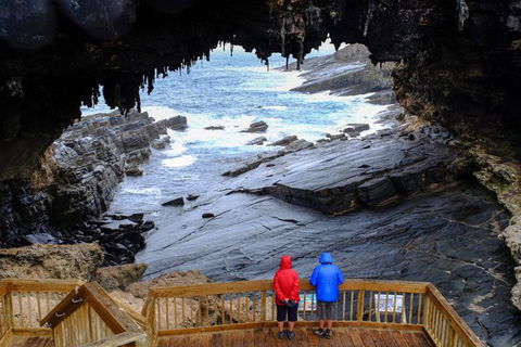 Full-Day Kangaroo Island Safari From Penneshaw - Accommodation Brunswick Heads 1