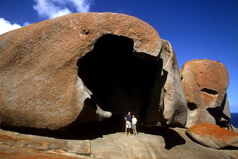 Full-Day Kangaroo Island Safari From Penneshaw - Accommodation Brunswick Heads 0