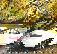 Luxury Jaguar Barossa Valley Half Day Private Tour For 2 - Accommodation Brunswick Heads