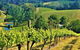 Adelaide Hills Private Day Tour - thumb 0