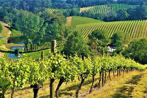 Adelaide Hills Private Day Tour - Accommodation Brunswick Heads 0
