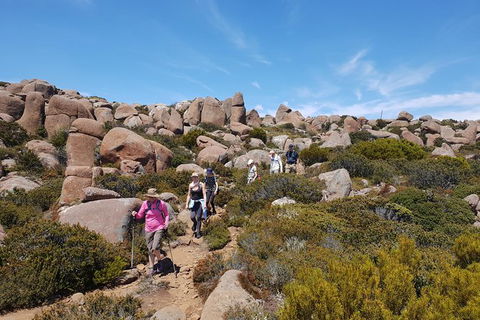 Alpine Loop - Accommodation Brunswick Heads 2