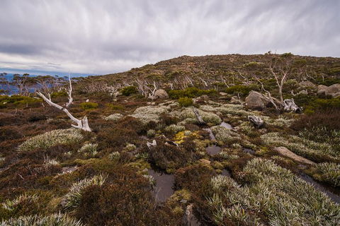 Alpine Loop - Accommodation Brunswick Heads 0