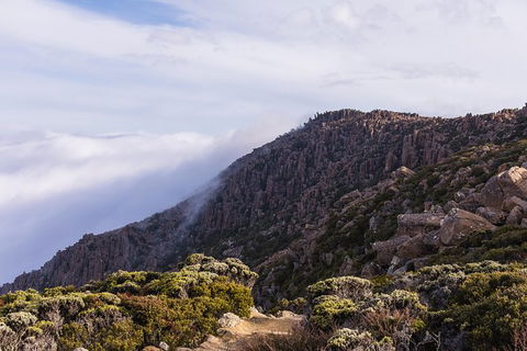 Alpine Loop - Accommodation Brunswick Heads 3