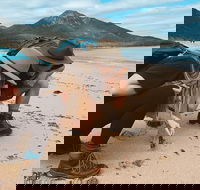 Freycinet Walking Tour - Accommodation Brunswick Heads