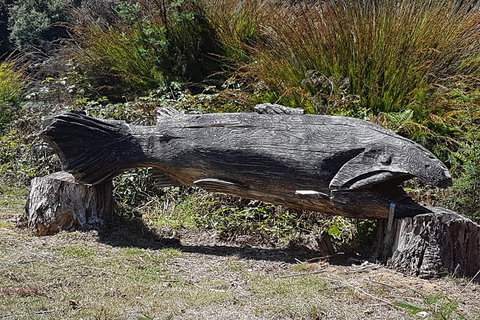 Cruise Ship Excursion: Gourmet Food & Wine - Accommodation Brunswick Heads 10