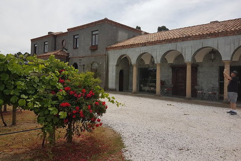 Cruise Ship Excursion: Gourmet Food & Wine - Accommodation Brunswick Heads 18