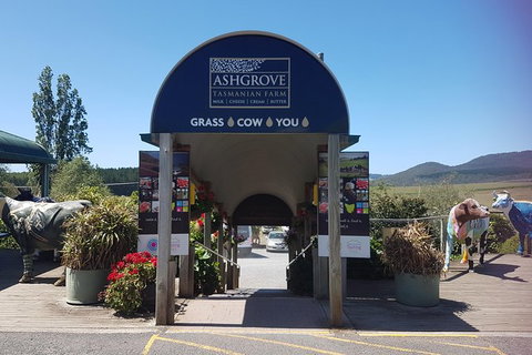 Cruise Ship Excursion: Gourmet Food & Wine - Accommodation Brunswick Heads 8