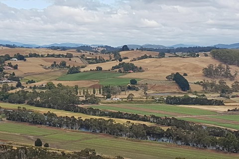 Cruise Ship Excursion: Gourmet Food & Wine - Accommodation Brunswick Heads 6