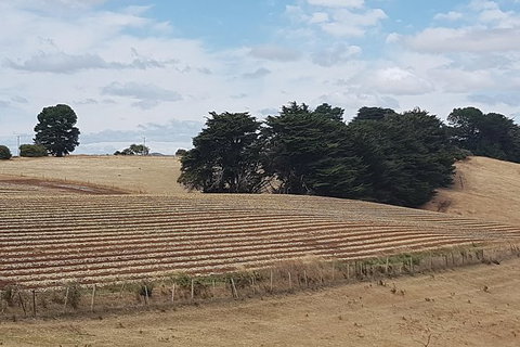 Cruise Ship Excursion: Gourmet Food & Wine - Accommodation Brunswick Heads 9